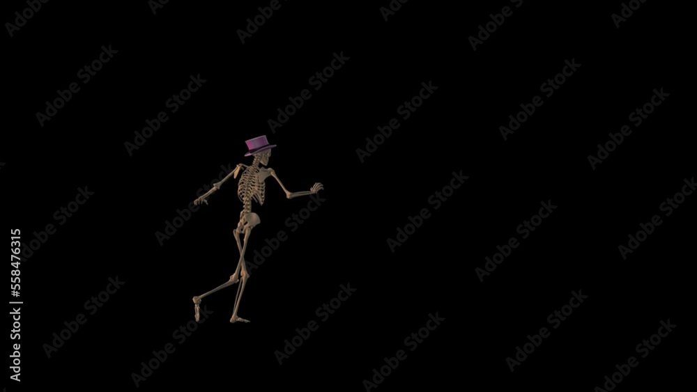 Skeleton Dancer Transparent Alpha Video Animation Skeleton Dancer Transparent Alpha Video Animation