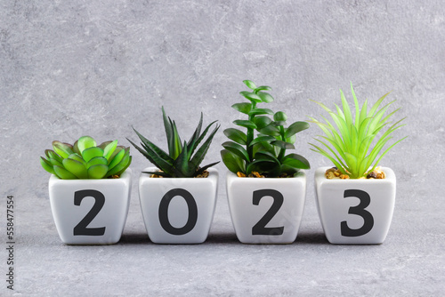 Inscription 2023 on white ceramic flowerpots with houseplants. Merry Christmas and happy new year concept.