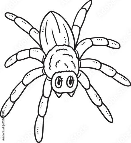 Mother Spider Isolated Coloring Page for Kids