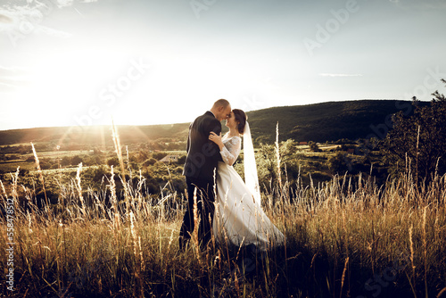 Fototapeta The bride and groom hold hands and look to the future in the middle of nature, t