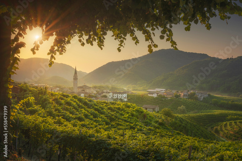 Prosecco Hills, vineyards and Guia village at dawn. Unesco Site. Valdobbiadene, Veneto, Italy © stevanzz