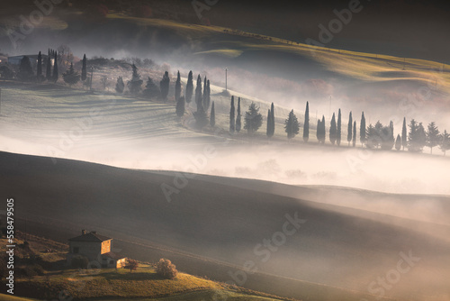 Foggy morning in Tuscany. Val d'Orcia, Pienza, Italy