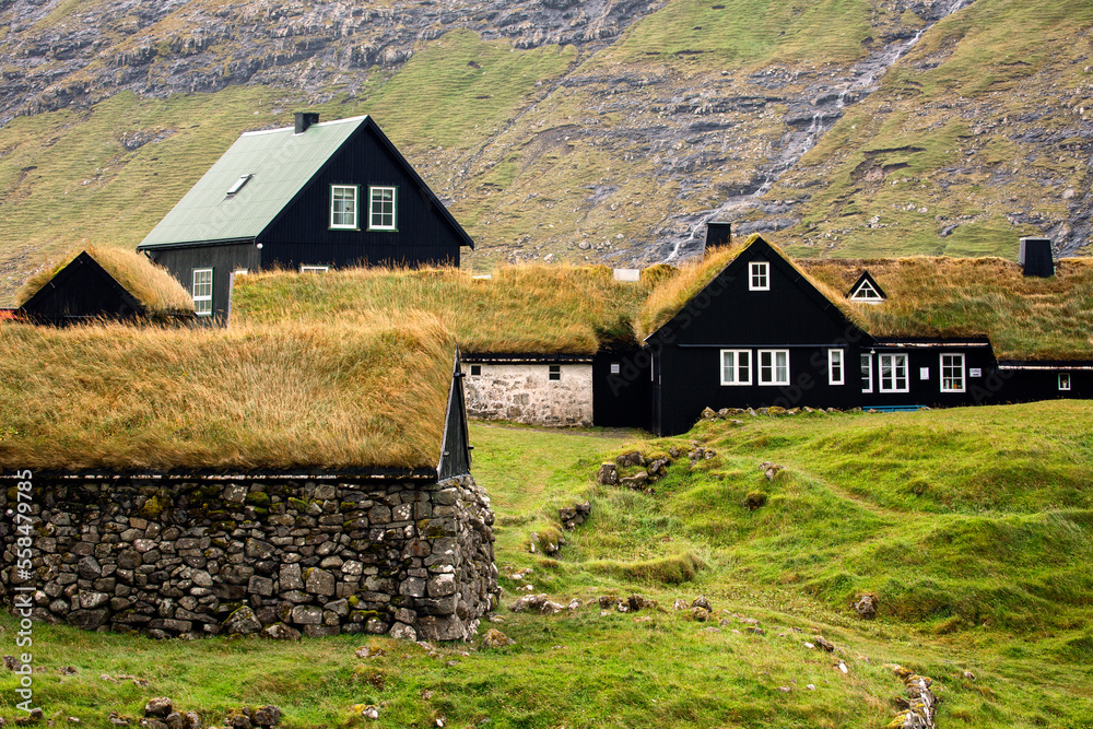Typical wooden houses with grass on the roof in the Faroe Islands 