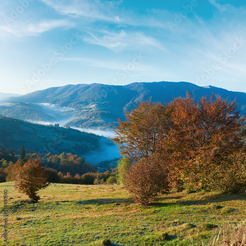 Autumn misty morning mountain hill  Carpathian Mountains  Ukraine .