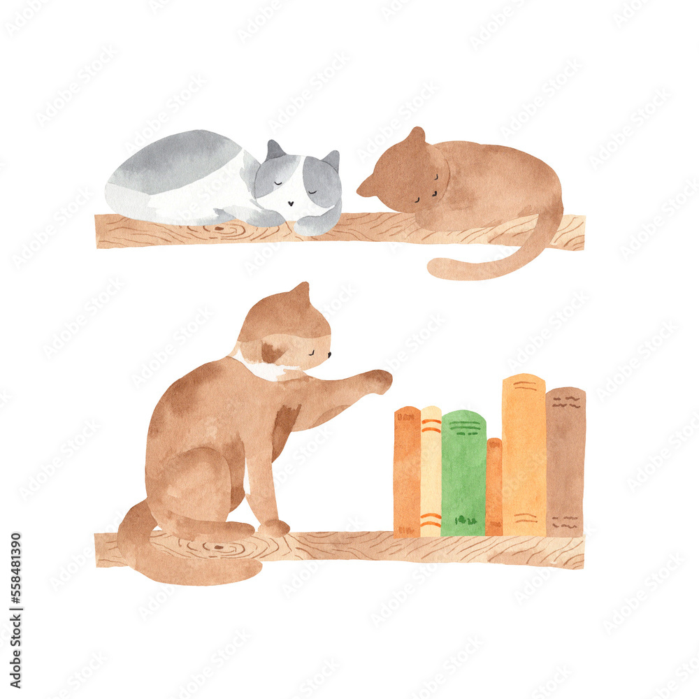 Sleeping cat on wooden book shelf - watercolor illustration of black ...