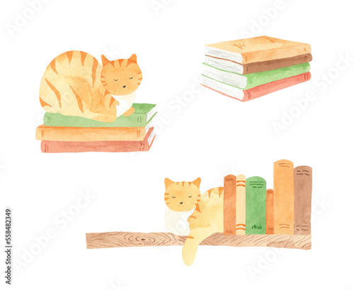 Watercolor cat on the bookshelf - cute hand-drawn illustration for book lover photo