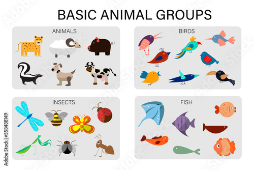 Basic animal groups. Insects, wild and domestic animals, fish, birds. educational worksheet for kids