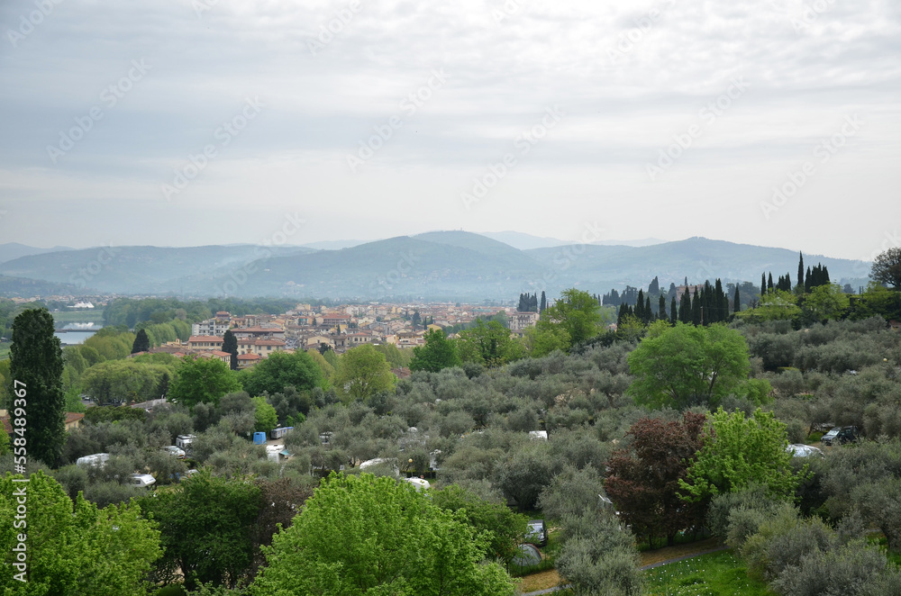 Panoramic view of the city of Florence with olive trees in the foreground