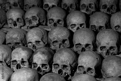 Slika na platnu Skulls in black and white