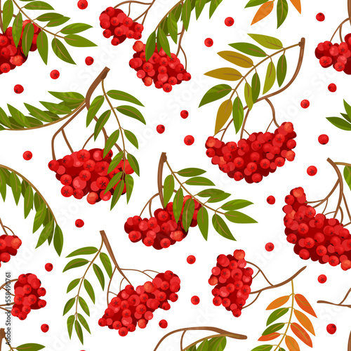 Rowan Berry Seamless Pattern Design with Red Fruity Cluster on Branch Vector Template