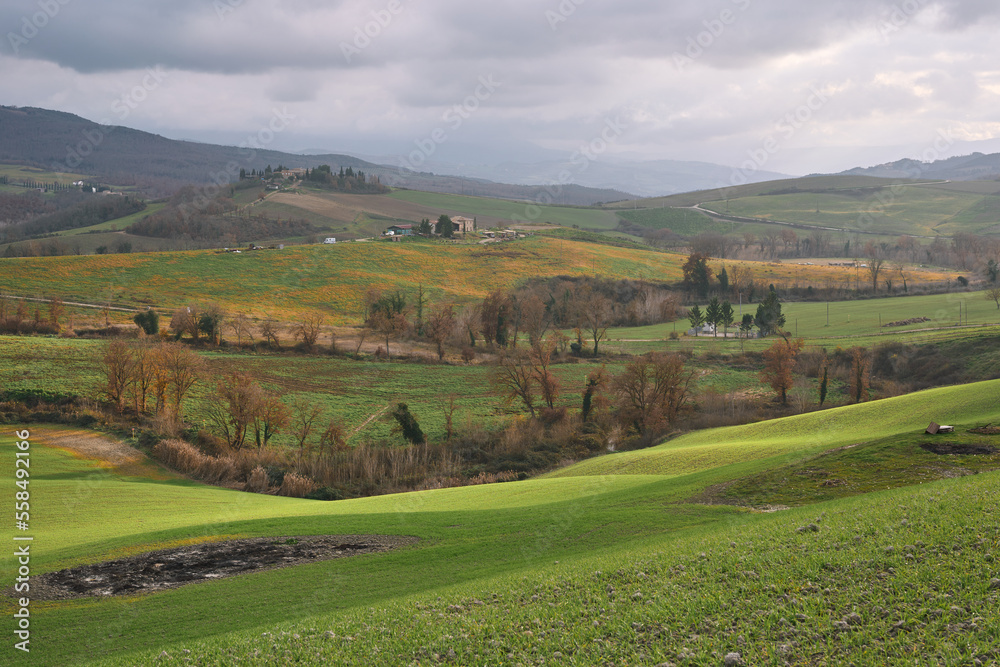 Rural landscape at San Quirico d'Orcia in Val d'Orcia, Tuscany	
