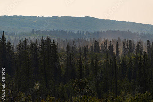 nature sceneries inside the Glenmore Park, Calgary, Alberta, Canada