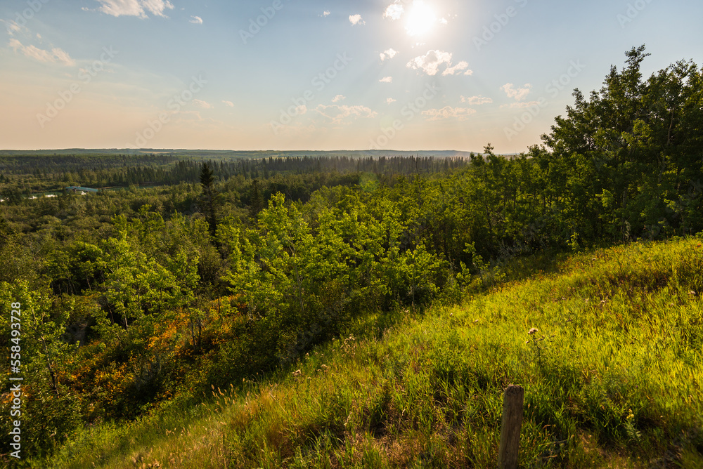 Naklejka premium Glenmore Park nature sceneries, Calgary, Alberta, Canada