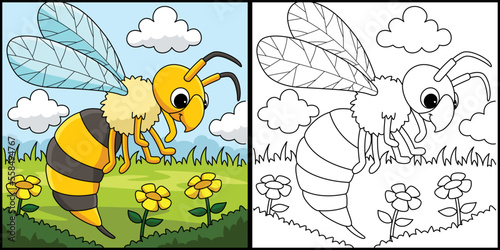 Hornet Animal Coloring Page Colored Illustration