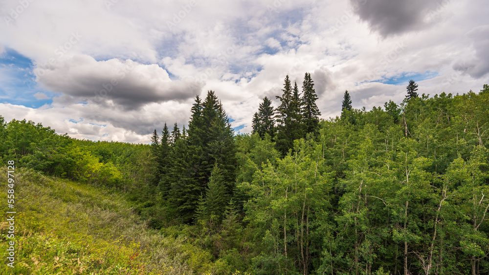 Glenmore Park nature sceneries, Calgary, Alberta, Canada