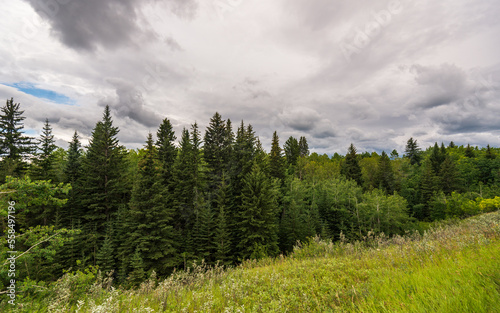 Glenmore Park nature sceneries, Calgary, Alberta, Canada