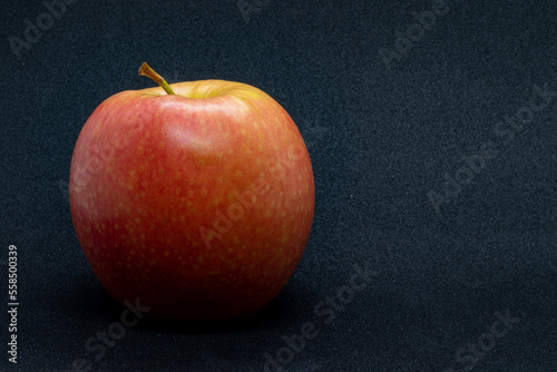 POMME 040123 04