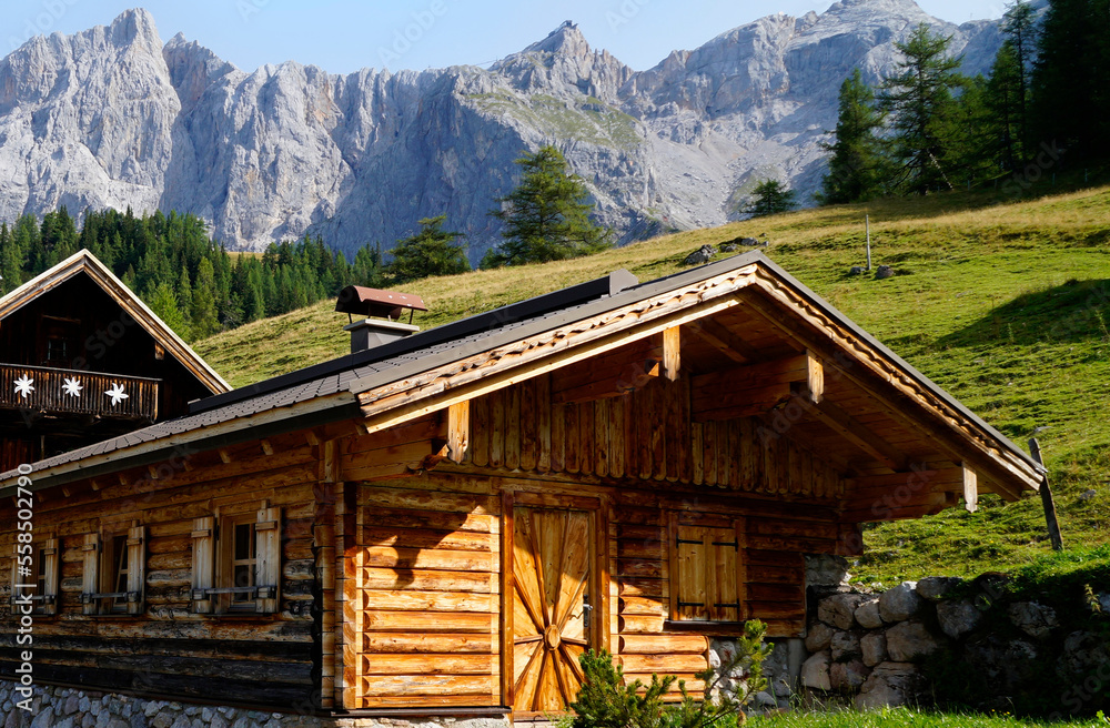 rustic wooden alpine cabins by the foot of the Dachstein mountain in the alpine village Neustatt Alm or Neustattalm in the Austrian Alps of the Schladming-Dachstein region (Steiermark, Austria)