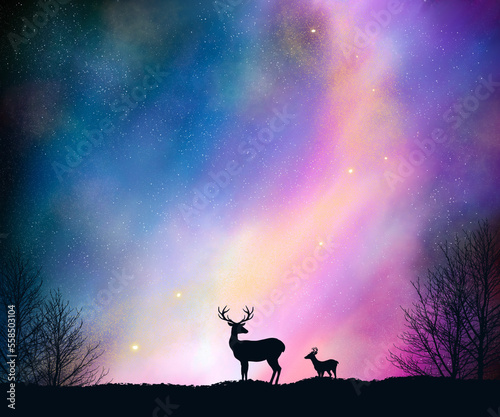 Bautiful galaxy nebula sky with siluet sweet deer