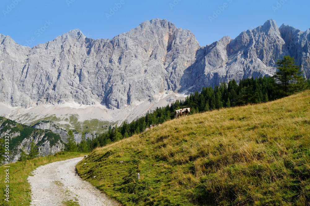 hiking trail in the alpine valley by the foot of Dachtein mountain in the Austrian Alps of the Schladming-Dachstein region on a summer day (Steiermark or Styria, Schladming, Austria)