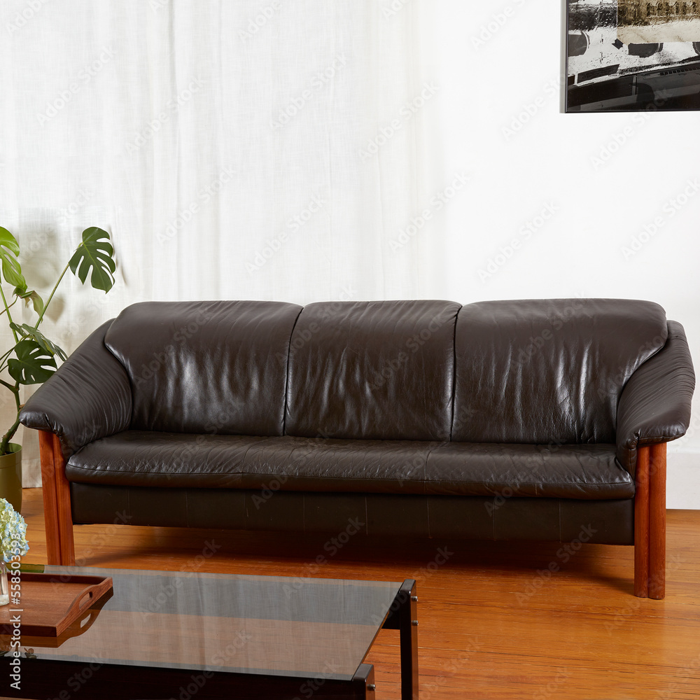 Mid-century modern, black leather sofa. Stylish vintage living room furniture in a room with a ...