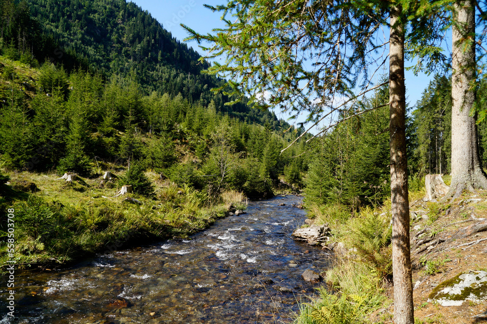 Obraz premium a hiking trail overlooking the picturesque alpine landscape with a cold alpine stream in the Austrian Alps of the Schladming-Dachstein region (Schladming, Austria)