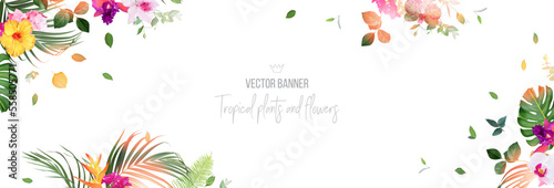 Tropical banner arranged from exotic emerald leaves and exotic flowers