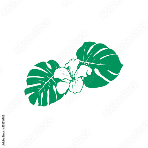 vector illustration of green big leaf
