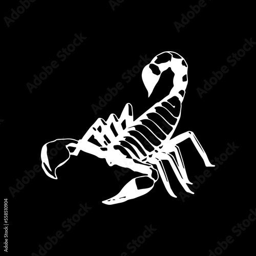 scorpion silhouette vector illustration concept