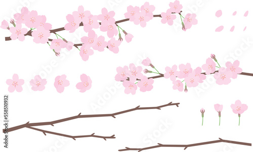 桜と枝のイラスト素材セット
