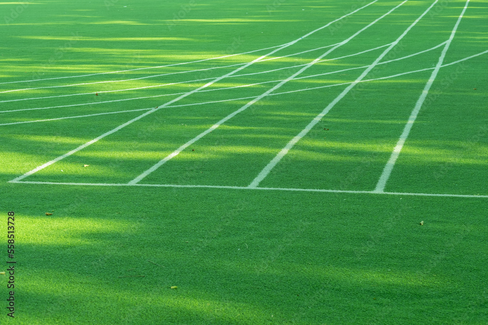 Obraz premium Green grass background, football field