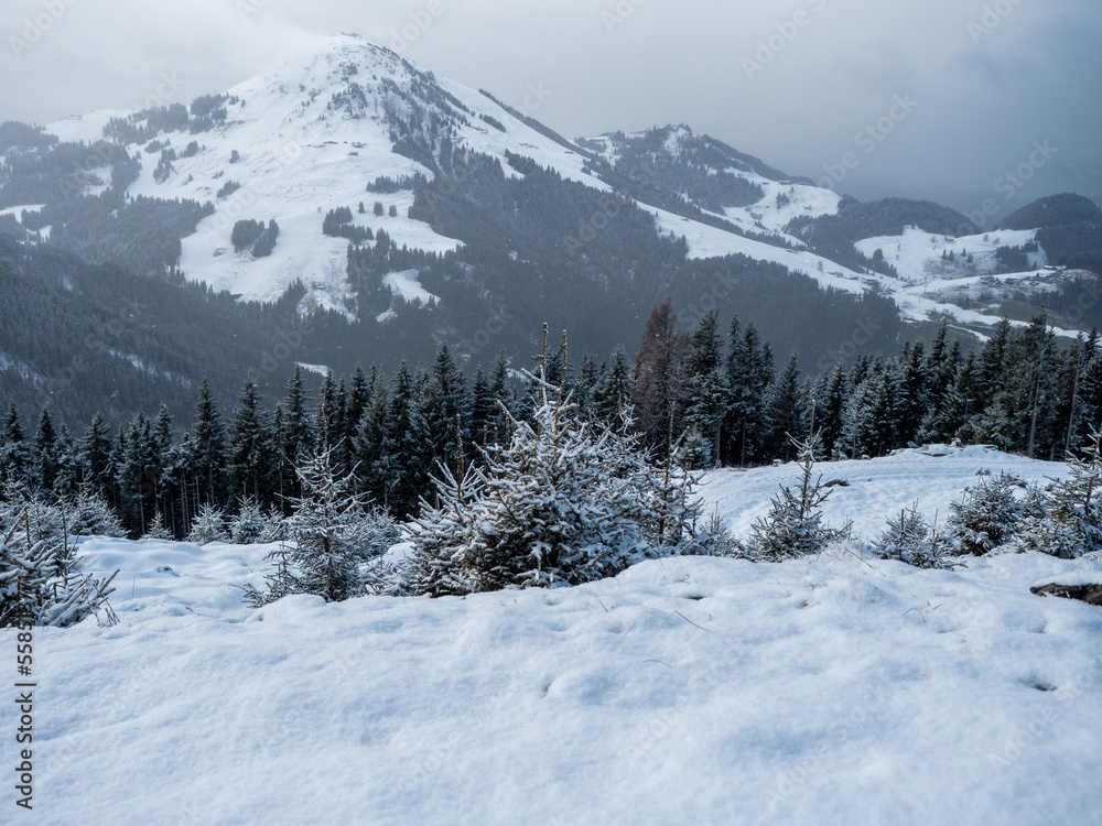 Winter mountain landscape in Austria.

