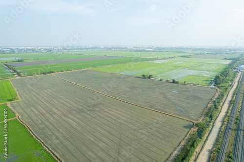 aerial view from flying drone of Field rice with landscape green pattern nature background, top view field rice