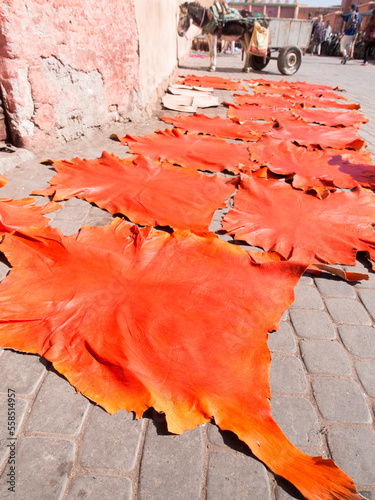 Dyed animal skin spread for drying, horse cart in background, in the Medina in Marrakesch, Morrocco photo