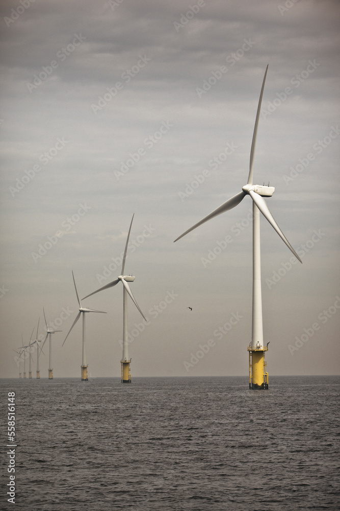 Wind turbines at the offshore windpark at Egmond aan Zee in the Netherlands.