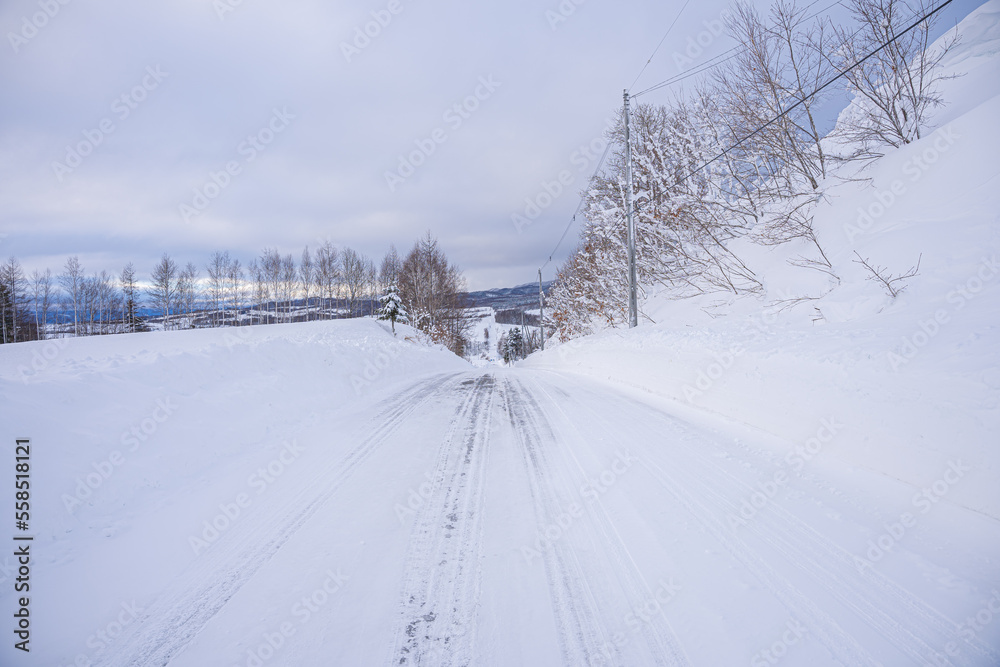 冬のジェットコースターの路