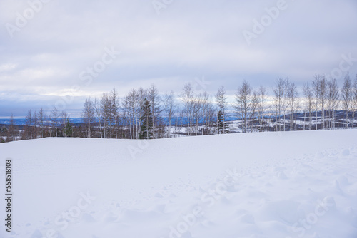 冬のジェットコースターの路 © HOTAKA
