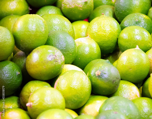 Citrons Verts Mûrs En Gros Plan Sur Fond Ou Texture. Récolte De Citron, Beaucoup De Citrons Verts.