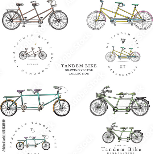 set of bicycles drawing vector collection