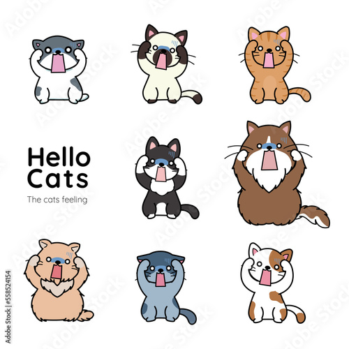 猫の表情アイコン　ガッカリ