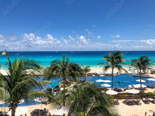 beach with palm trees