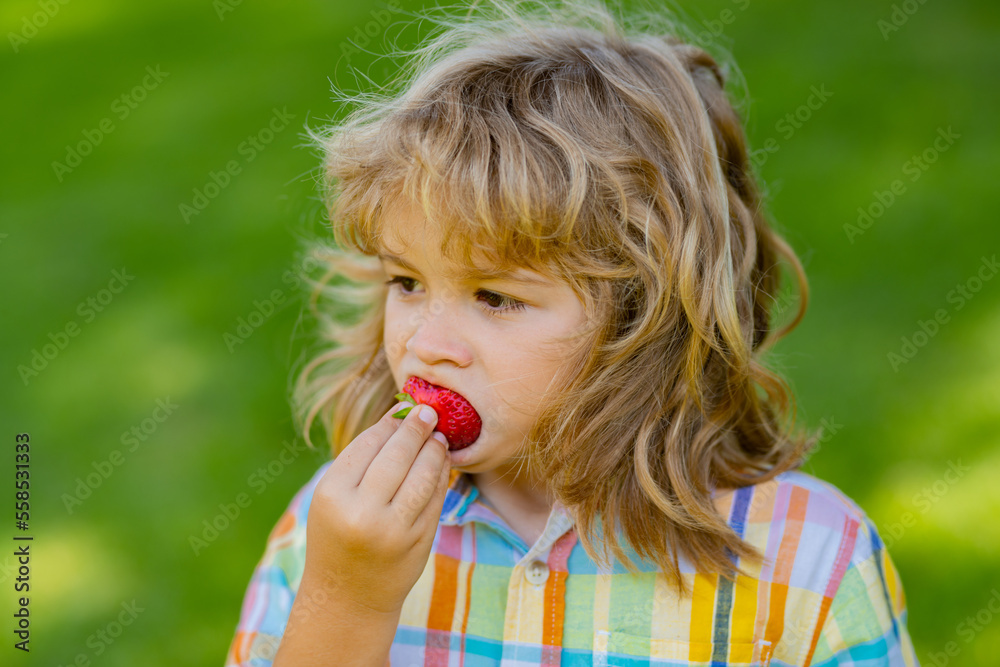 Close up kids face with strawberry in mouth. Child eat strawberry berries in the summer. Kid is picking berry strawberry in the garden. Summer kid face. Close up kids face with strawberry in mouth. Child eat strawberry berries in the summer. Kid is picking berry strawberry in the garden. Summer kid face.