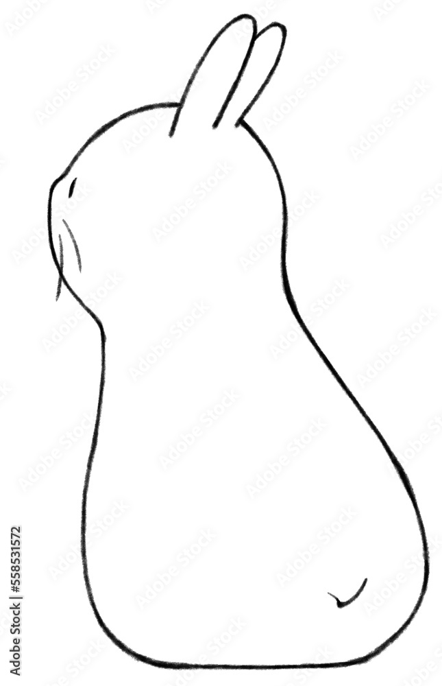 うさぎの後ろ姿 うさぎの後ろ姿