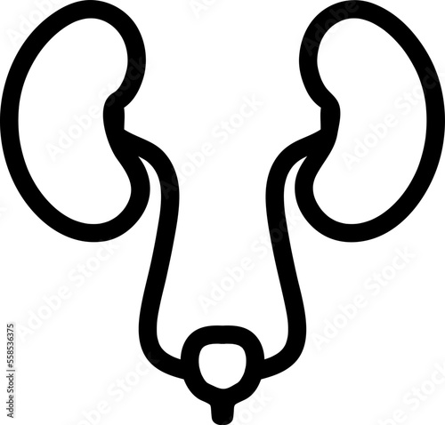 kidney icon. kidney vector design. sign design on white background..eps