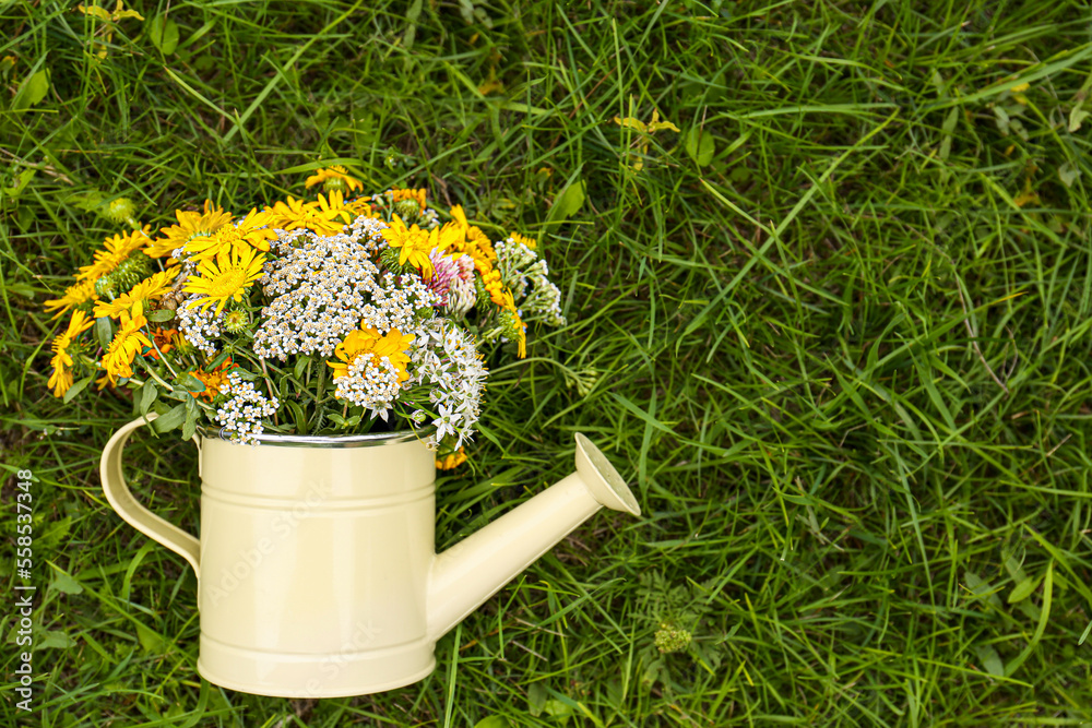 Pale yellow watering can with beautiful flowers on green grass, top view. Space for text Pale yellow watering can with beautiful flowers on green grass, top view. Space for text