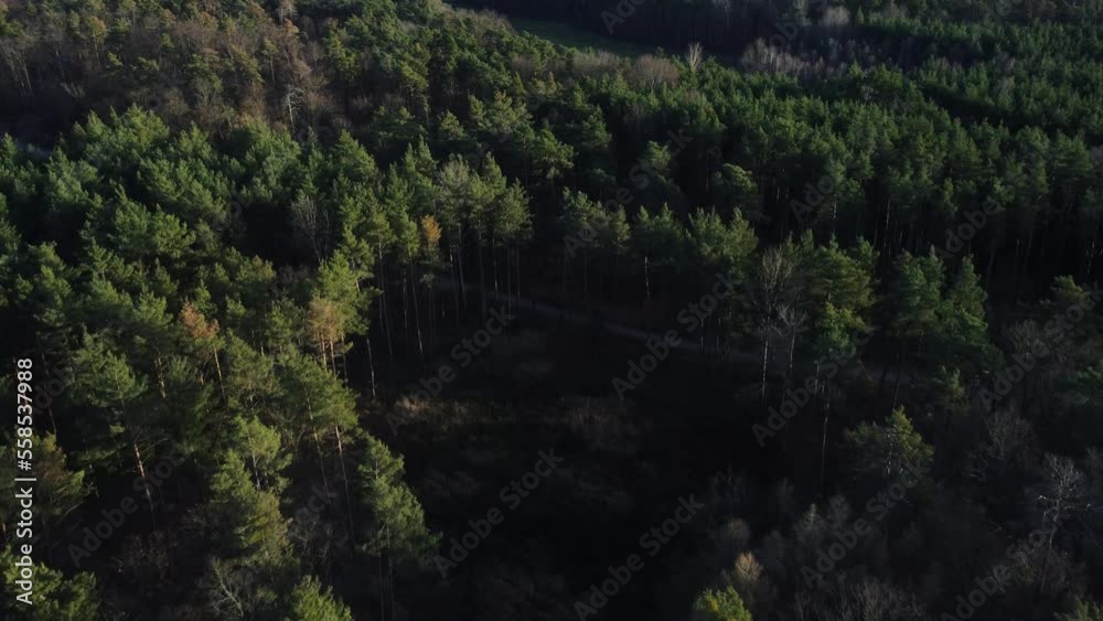 forest background aerial view forest background aerial view