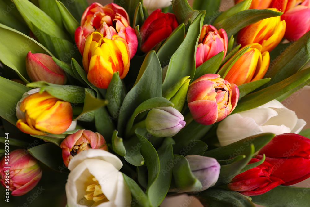 Beautiful bouquet of colorful tulip flowers, closeup