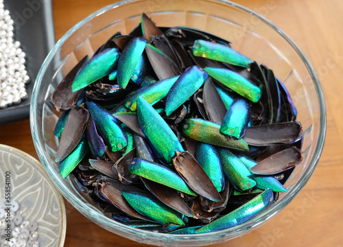 Many wings of buprestis beetle wings in the glass bowl.     photo