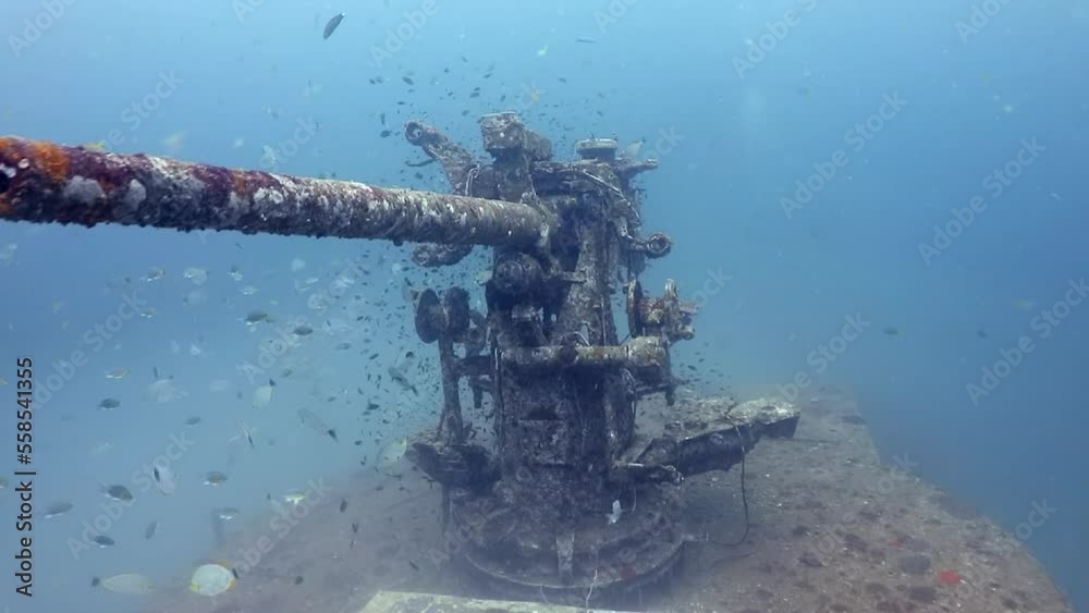 Reef fishes swimming around the front gun of sunk ship HTMS Sattakut under deep Thailand gulf sea Reef fishes swimming around the front gun of sunk ship HTMS Sattakut under deep Thailand gulf sea