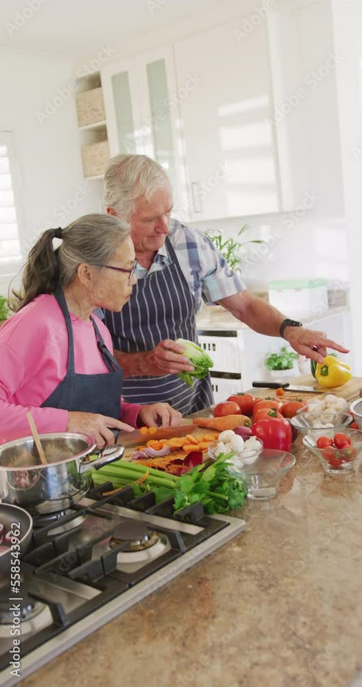 Vertical video of happy diverse senior couple cooking in kitchen Vertical video of happy diverse senior couple cooking in kitchen